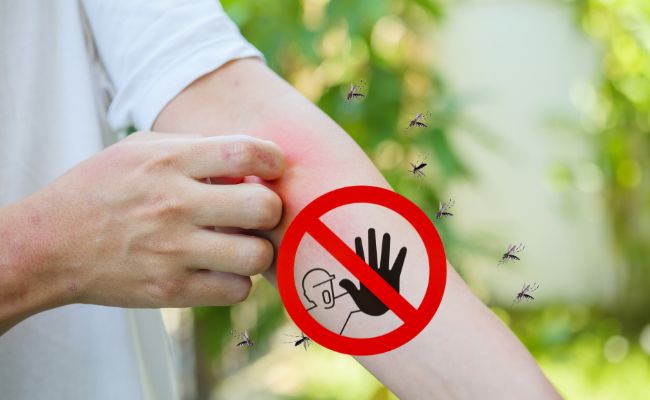 rimedi contro le zanzare
