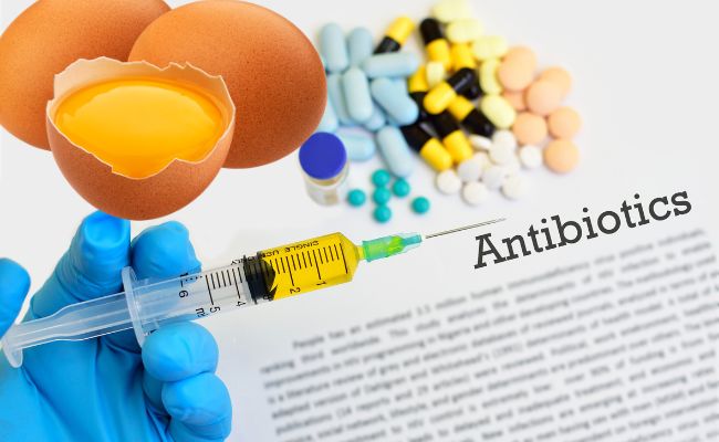 uova antibiotiici