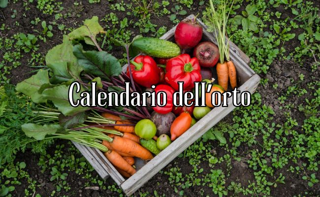calendario semina orto