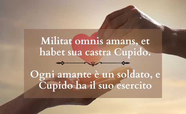 frasi amore latino