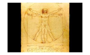 uomo vitruviano leonardo da vinci