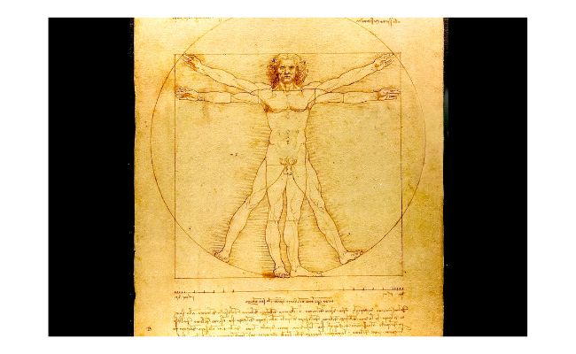 uomo vitruviano leonardo da vinci