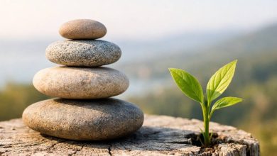 Significato di Resilienza